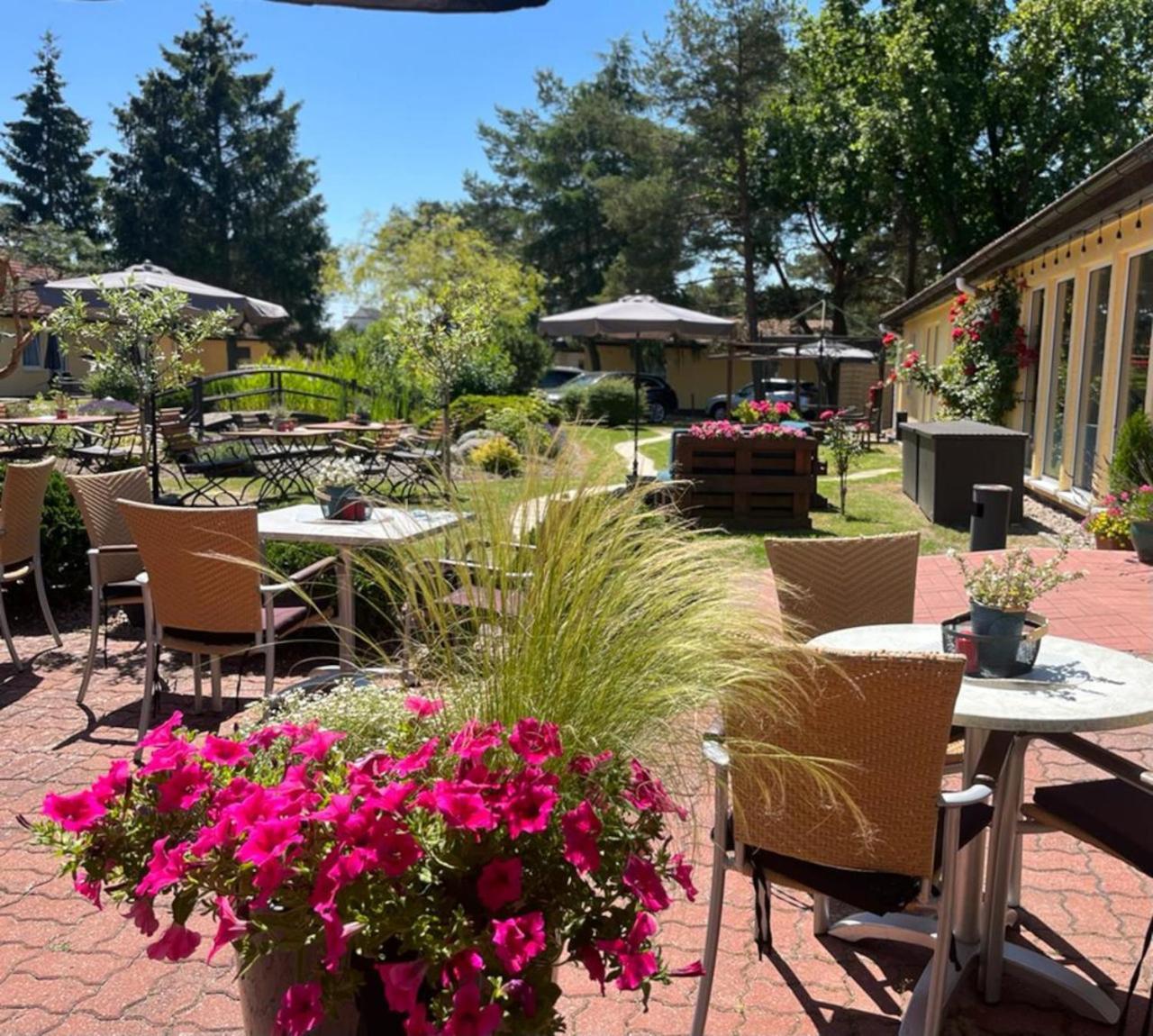 Hotel Pommerscher Hof 奥斯特西巴德钦诺维茨 外观 照片